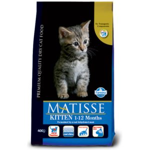 Kitten